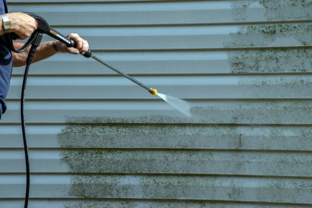 Best Exterior Home Cleaning  in Franklin, VA