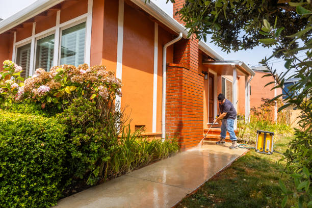 Best Best Pressure Washing Companies  in Franklin, VA